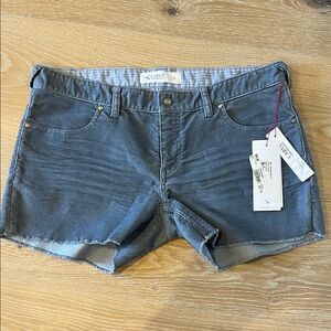 Carve Designs Oahu corduroy shorts Canal 10